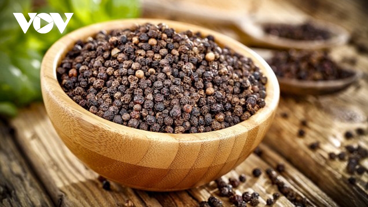 Vietnam retains world’s top pepper export position